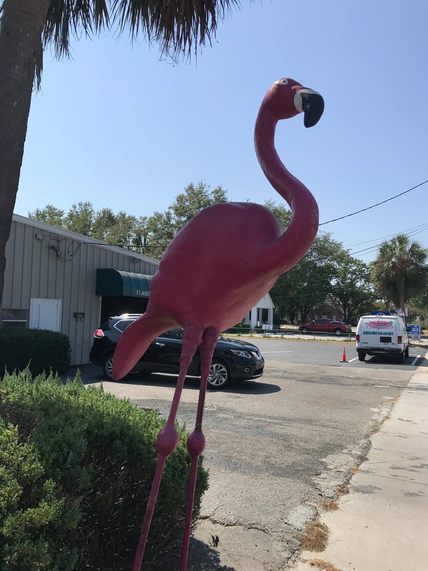 Flamingo Car Wash