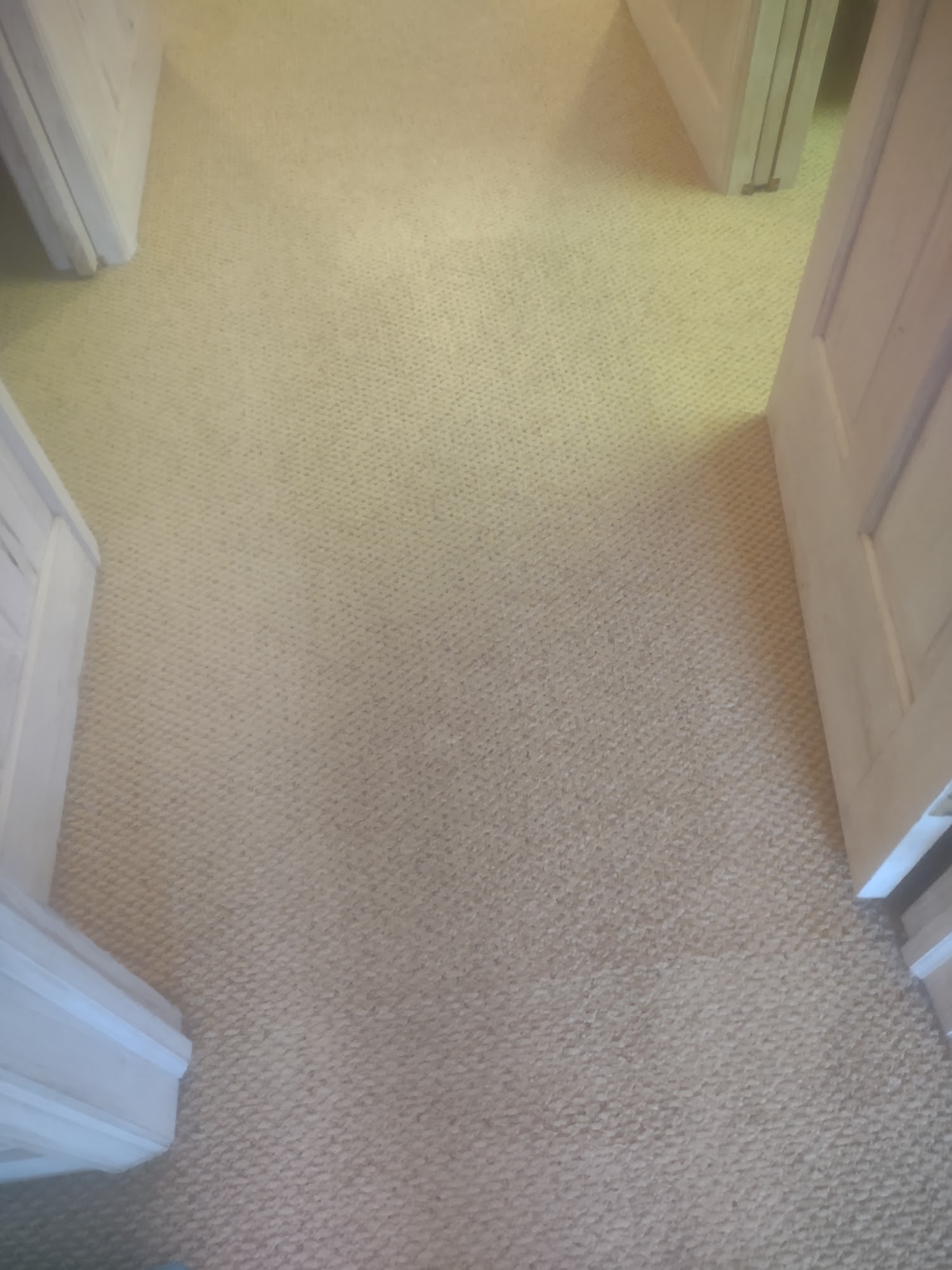 Sparkle & Clean Carpet Clean