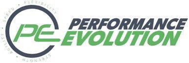Performance Evolution