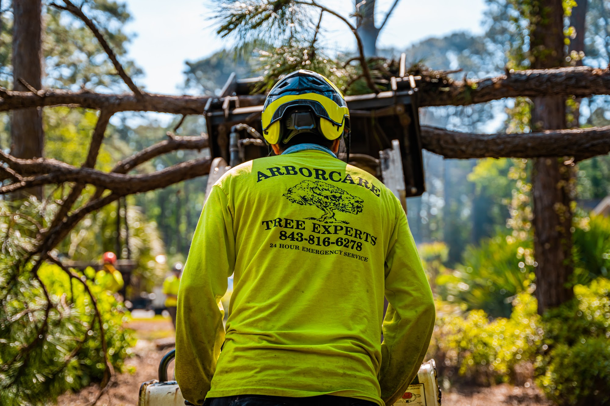 Arborcare Tree Experts