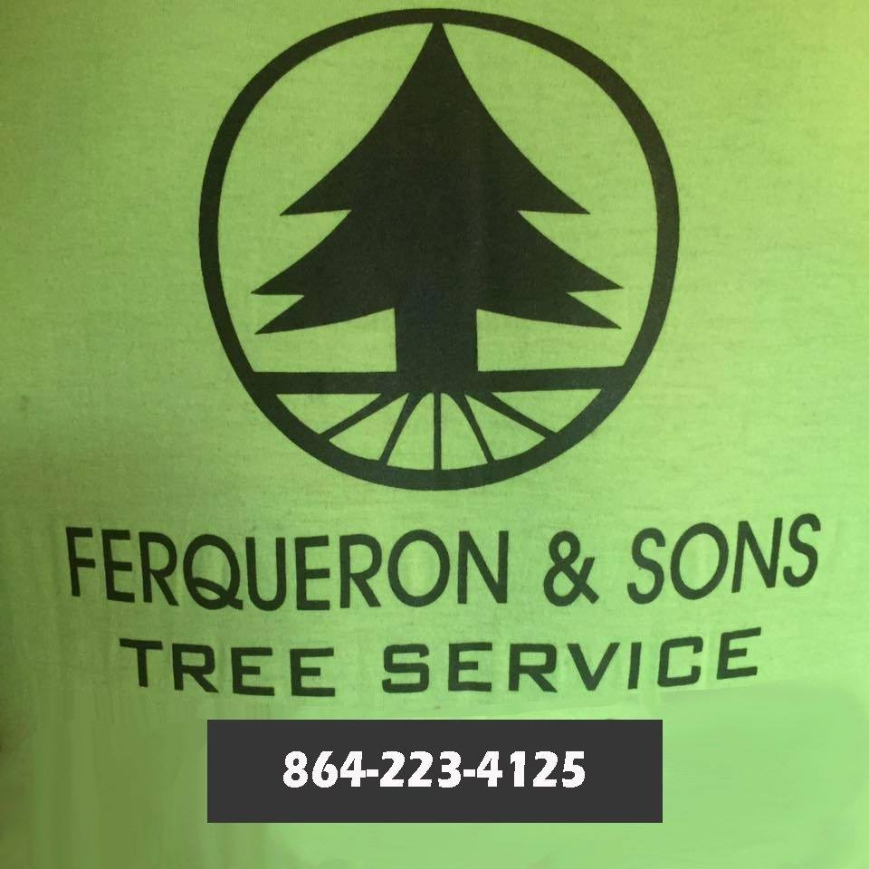 Ferqueron & Sons Tree Service 615 Johns Creek Rd, Hodges South Carolina 29653