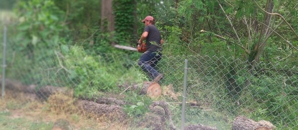 Hughes & Salcido Tree Service Contractors