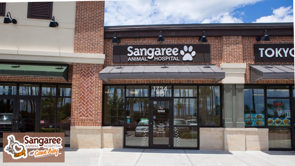 Sangaree Animal Hospital at Cane Bay