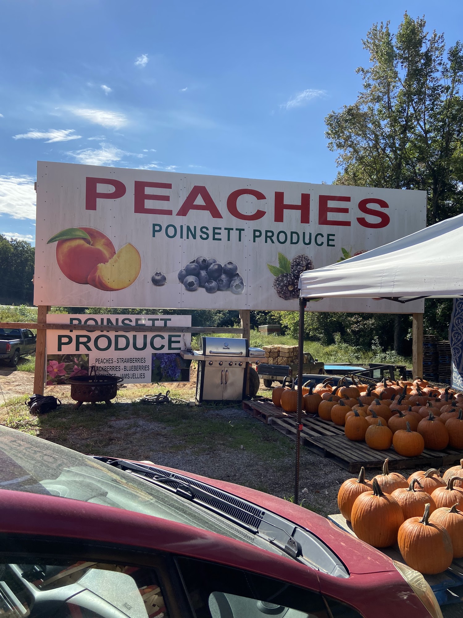 Poinsett Produce