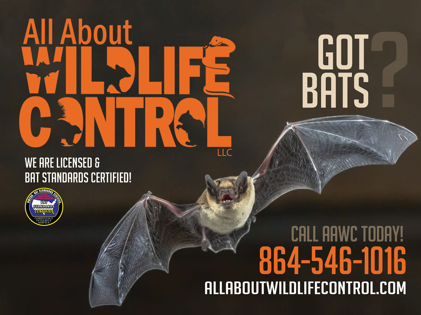 GRS Wildlife Control 506 Duncan Ln, West Union South Carolina 29696