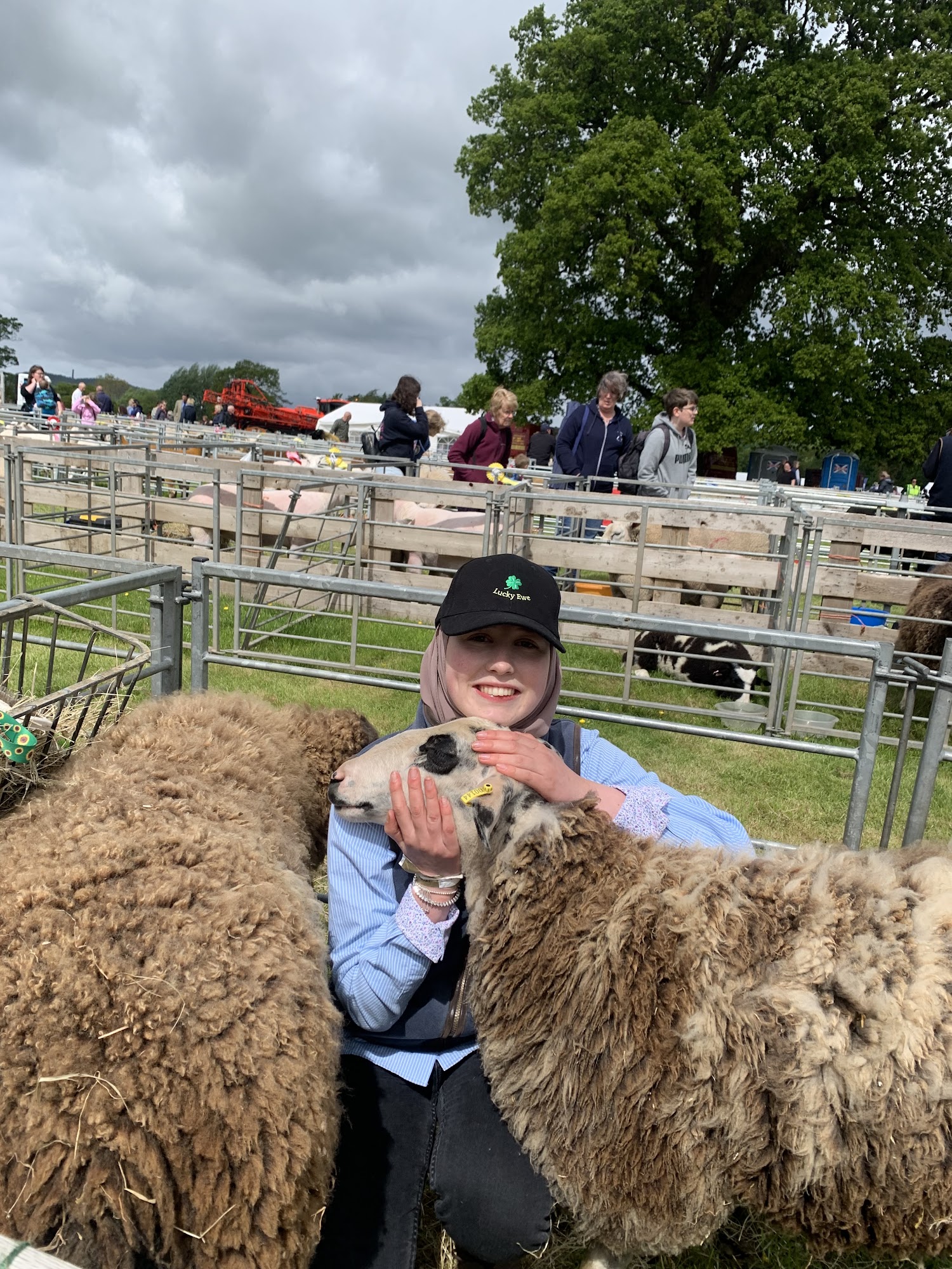 Lucky Ewe