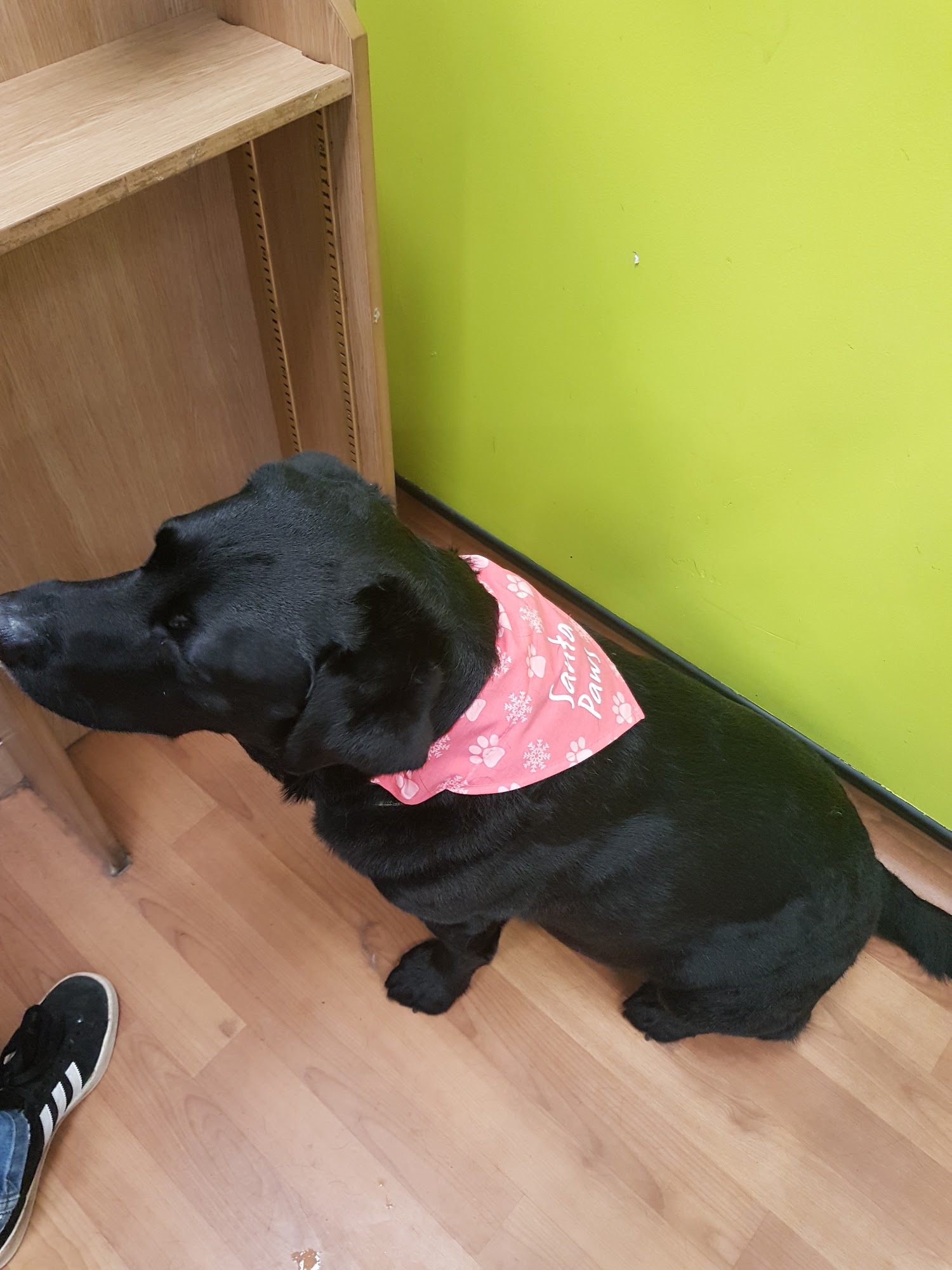 Pets at Home Fort Kinniard Edinburgh