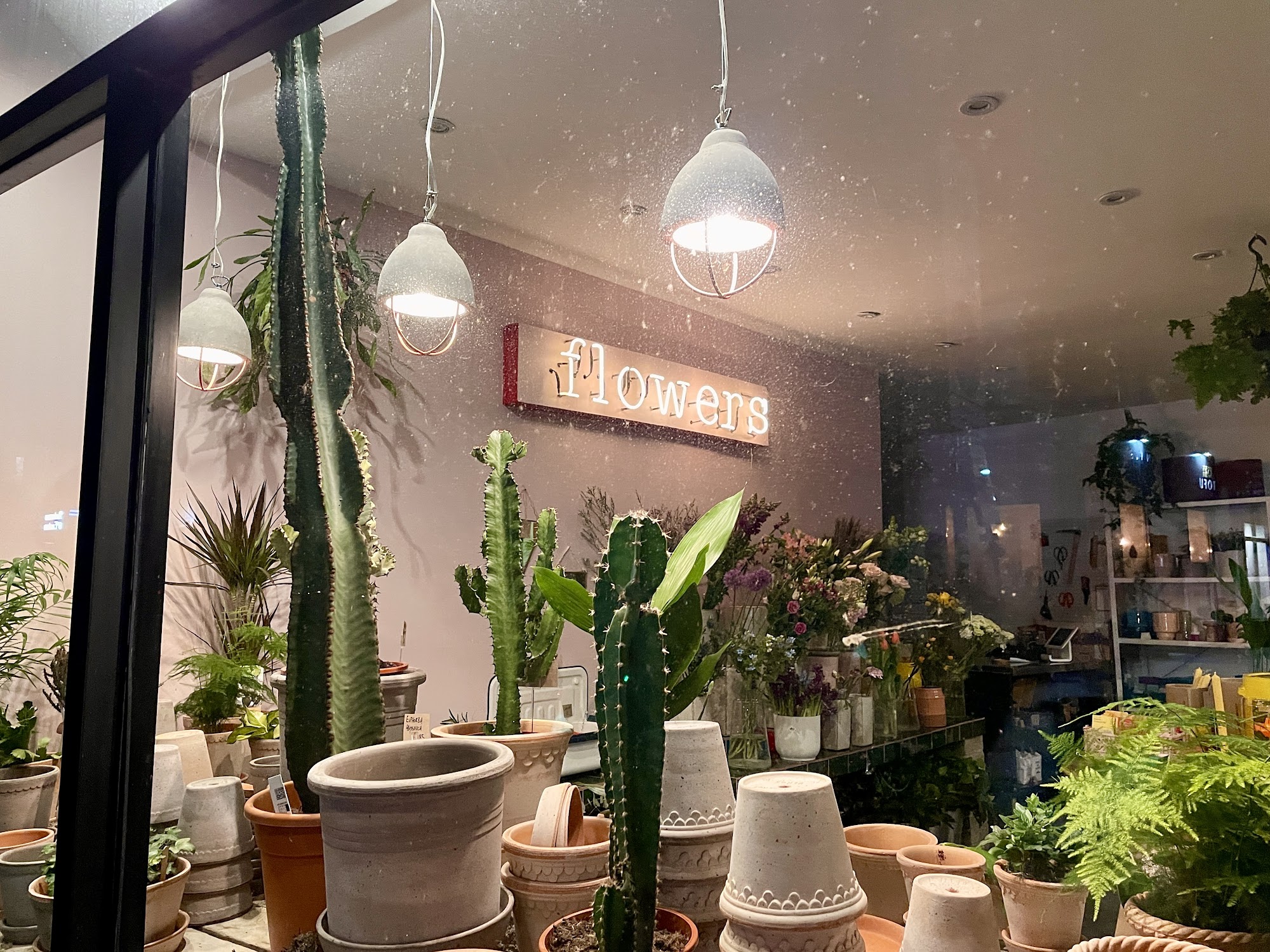 Blooms