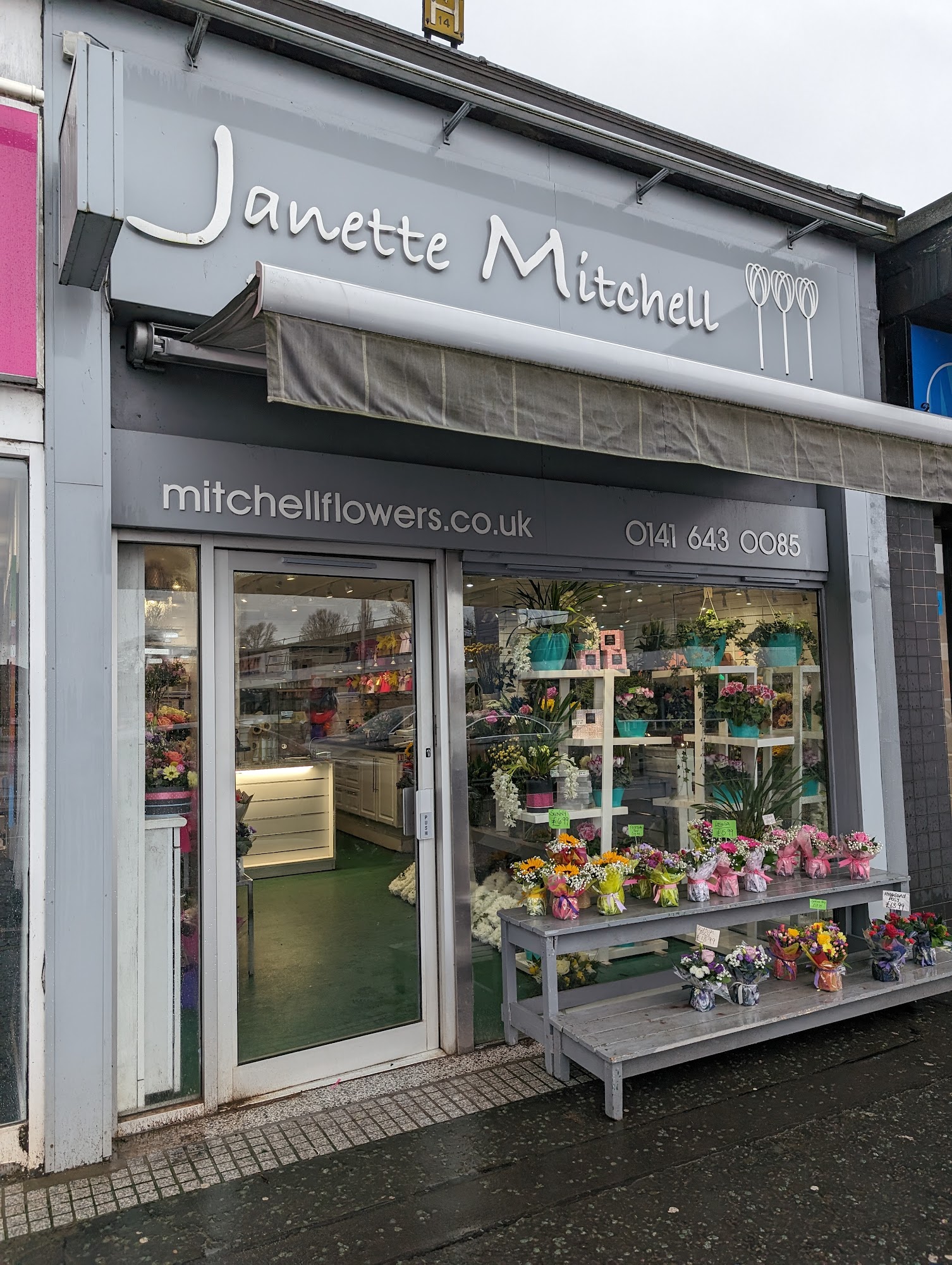 Janette Mitchell