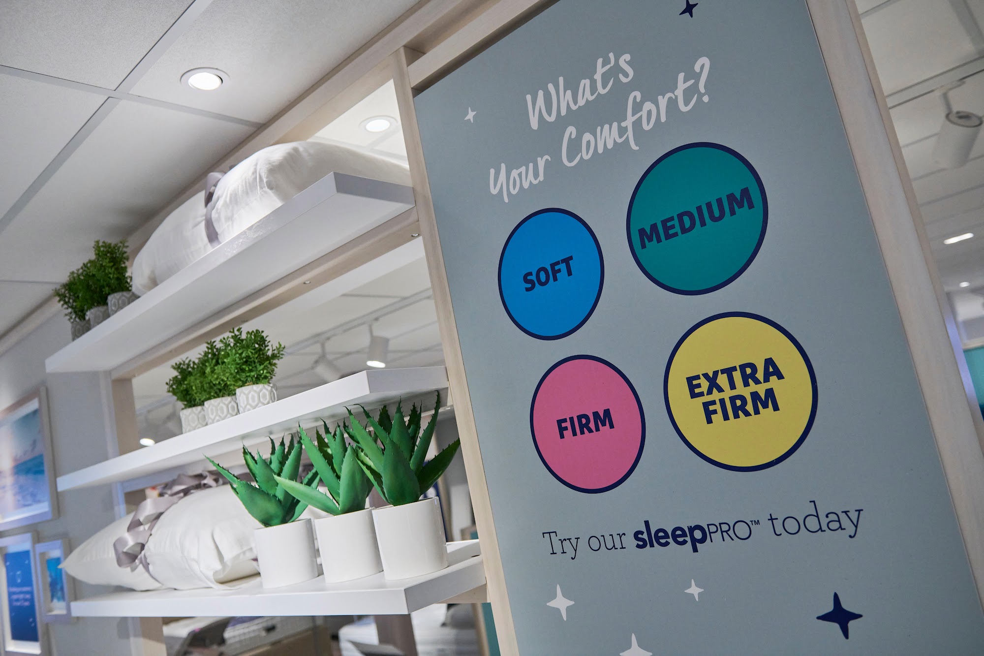 Bensons for Beds Hamilton