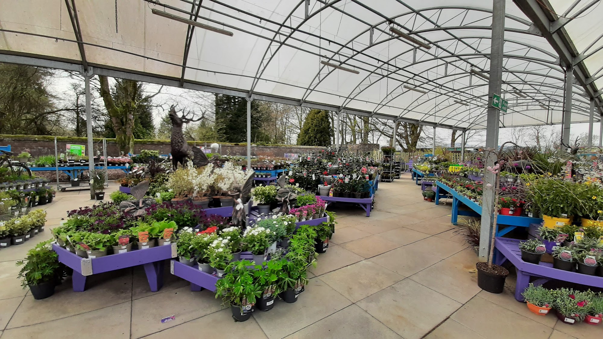 Caulders Garden Centre Kinross
