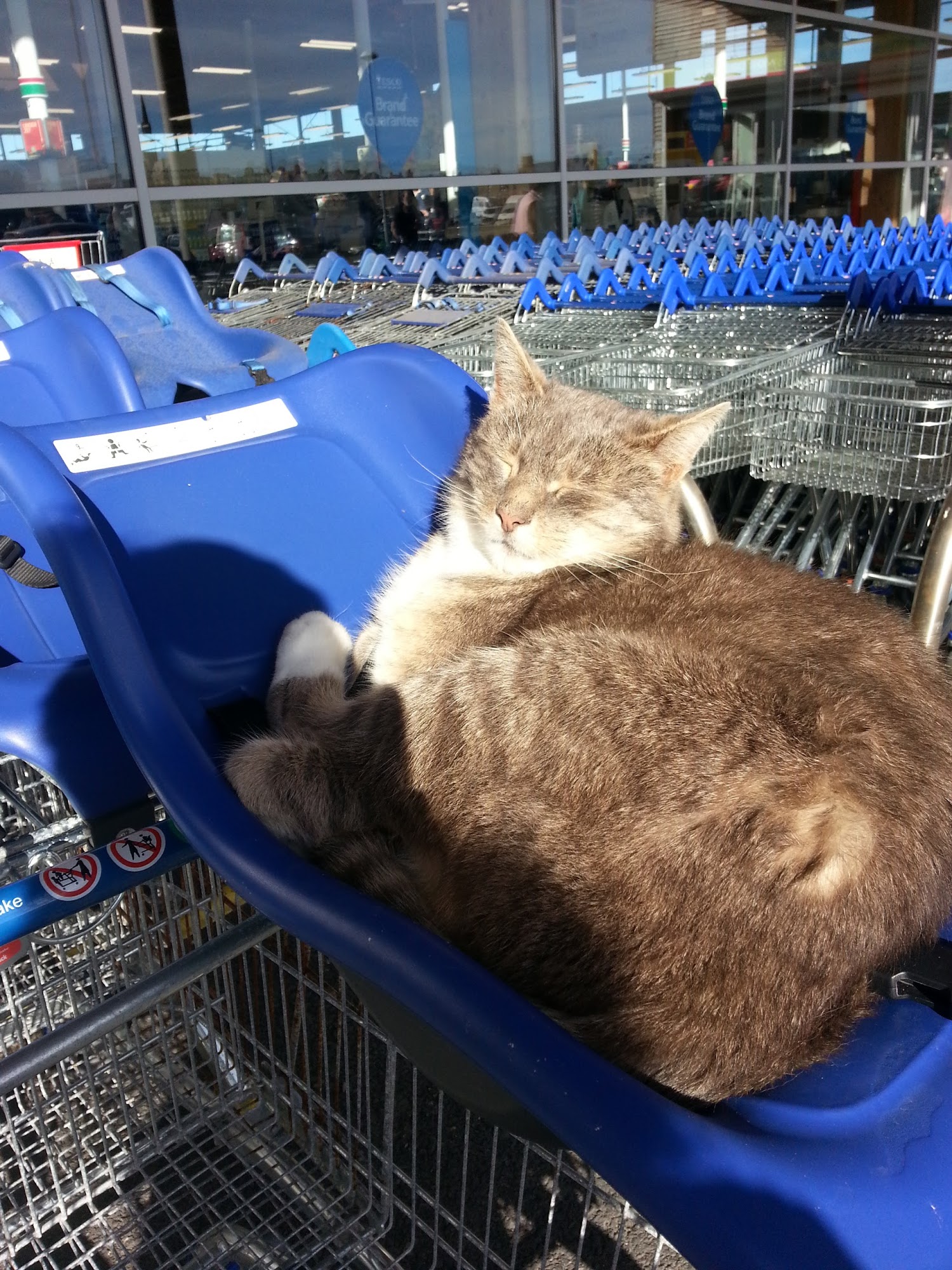 Tesco Superstore