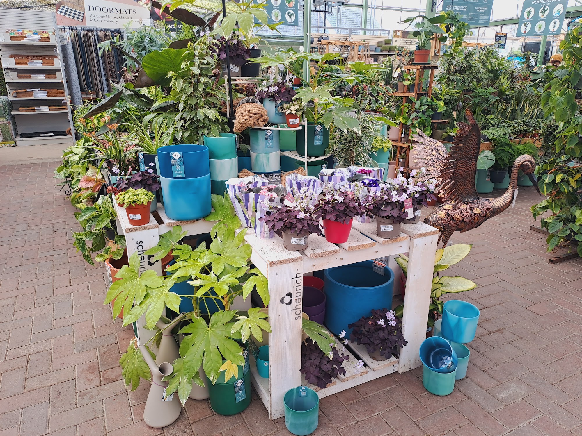 Pentland Plants