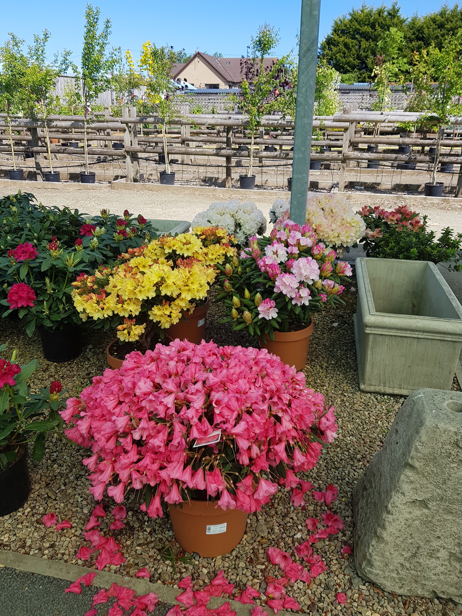 Parkhill @ White Lodge Garden Centre