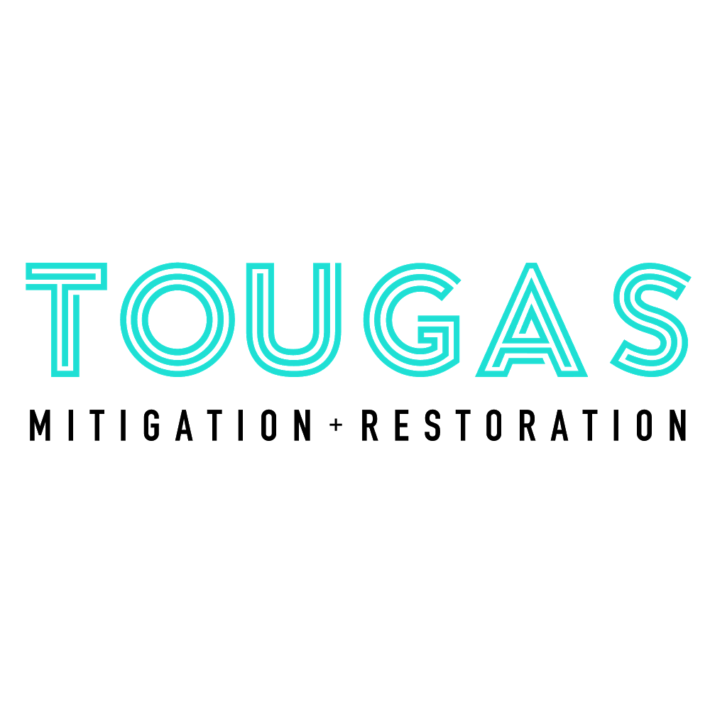 Tougas Construction + Restoration