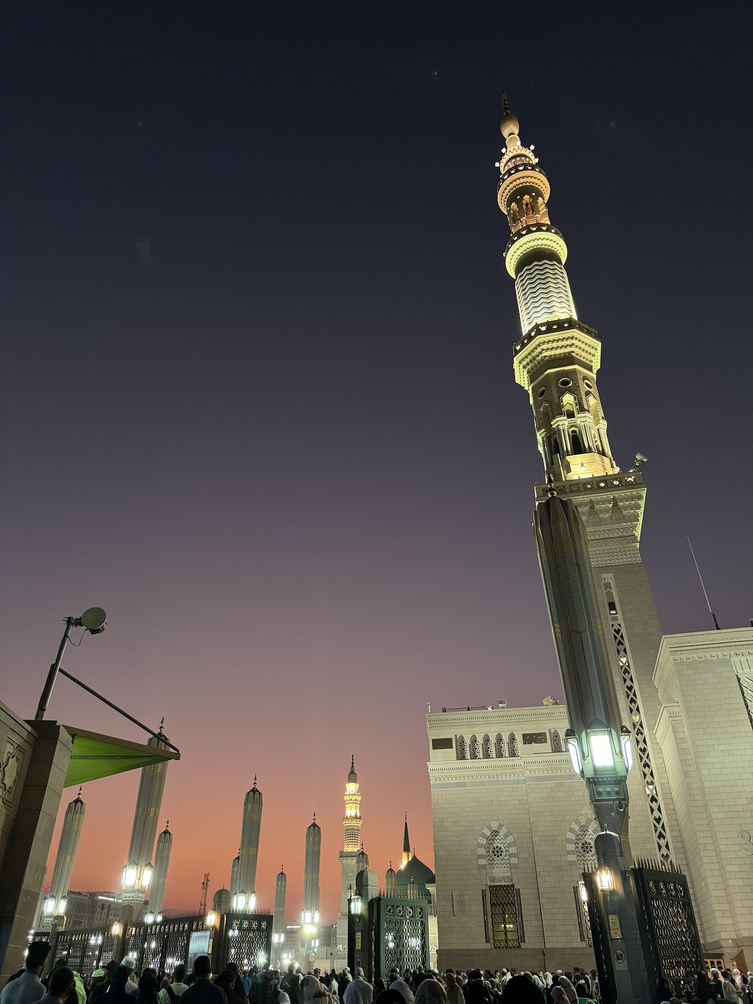 365 Flights & Tours