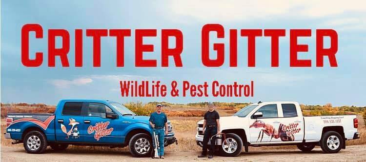 Critter Gitter Wildlife Control Services 1101 6 Ave, Regina Beach Saskatchewan S0G 4C0