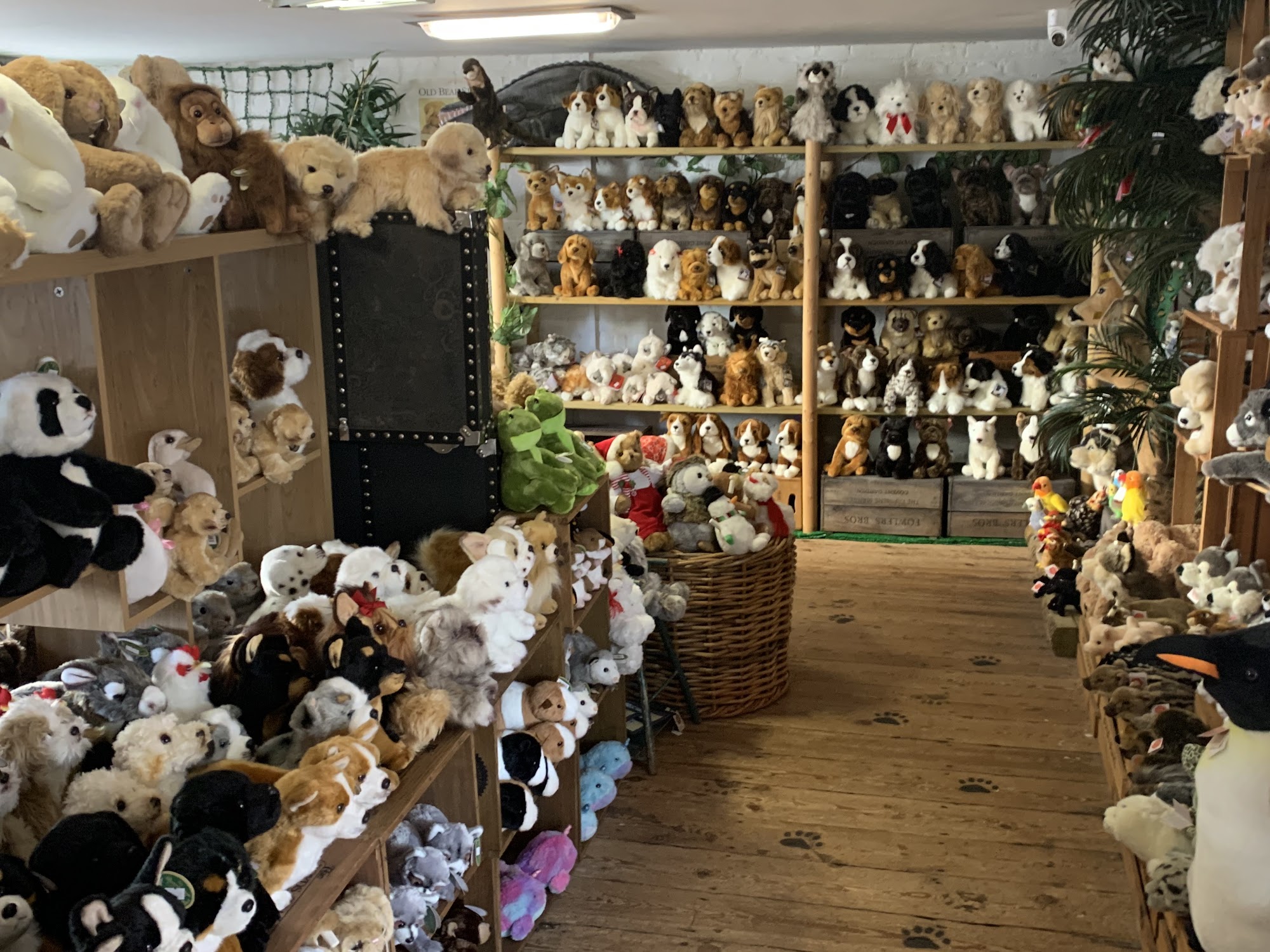 The World Of Bears Taunton