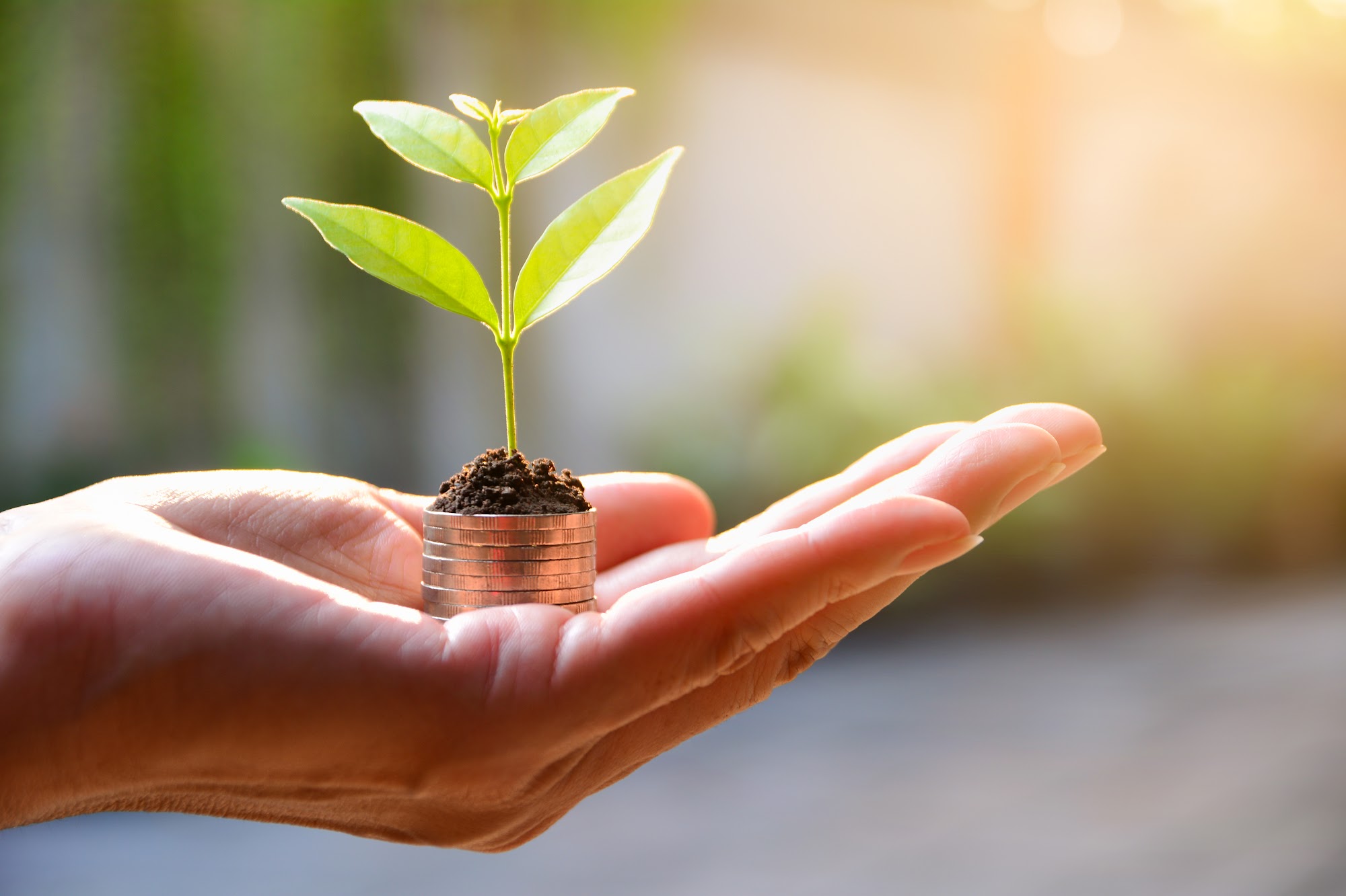 Eastern Savings & Loans Credit Union