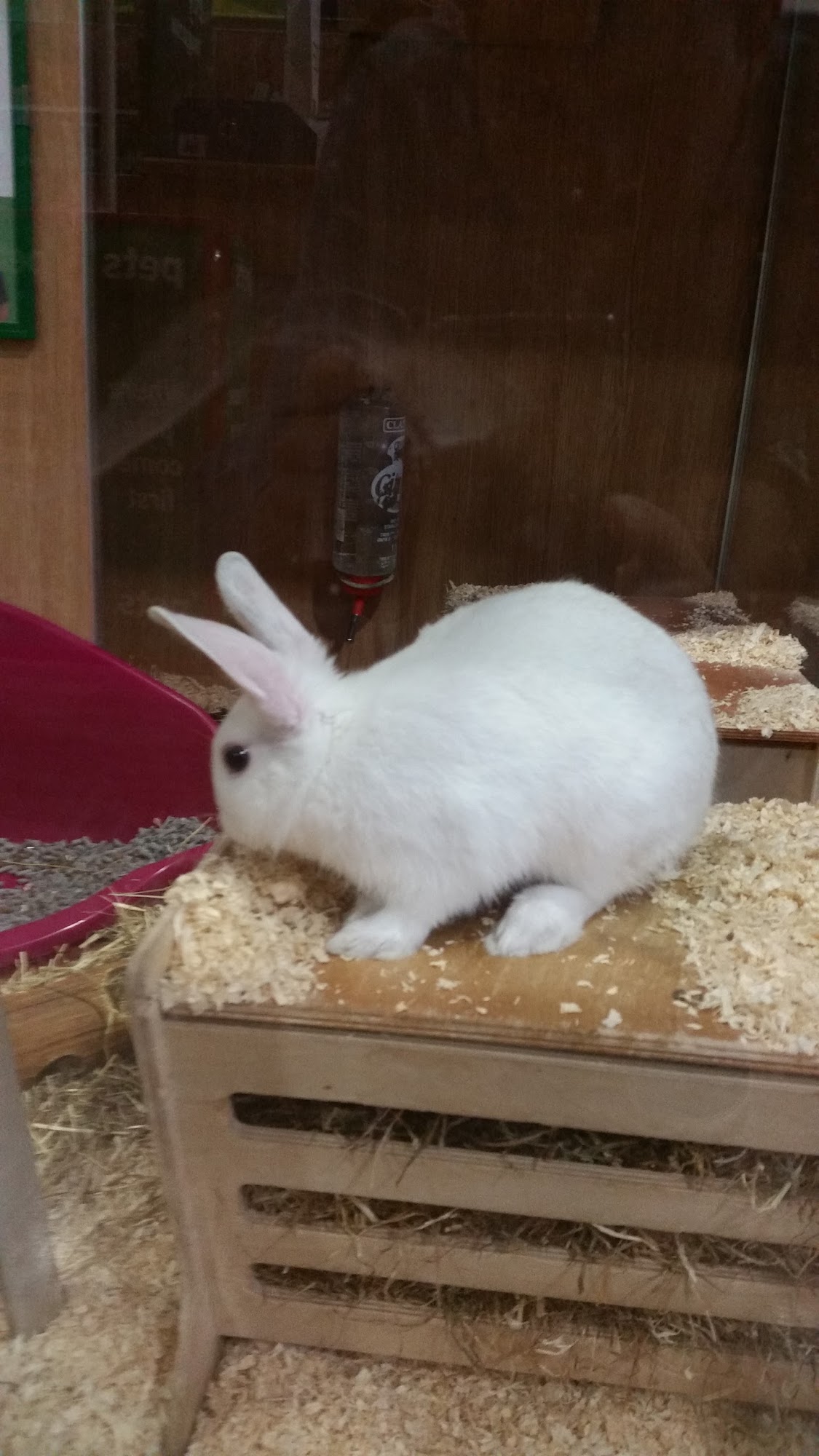Pets at Home Byfleet