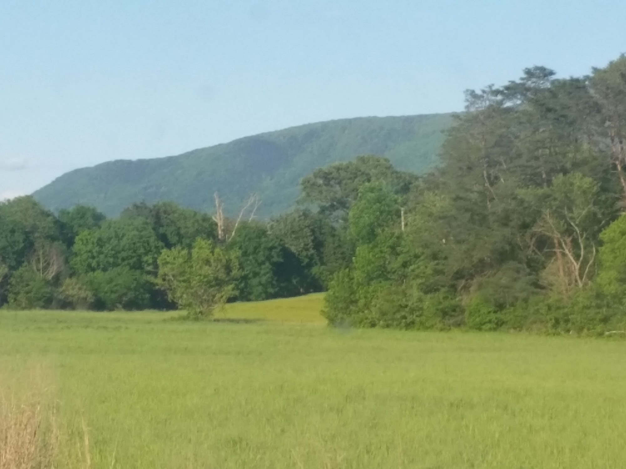 Joe Gregory Construction