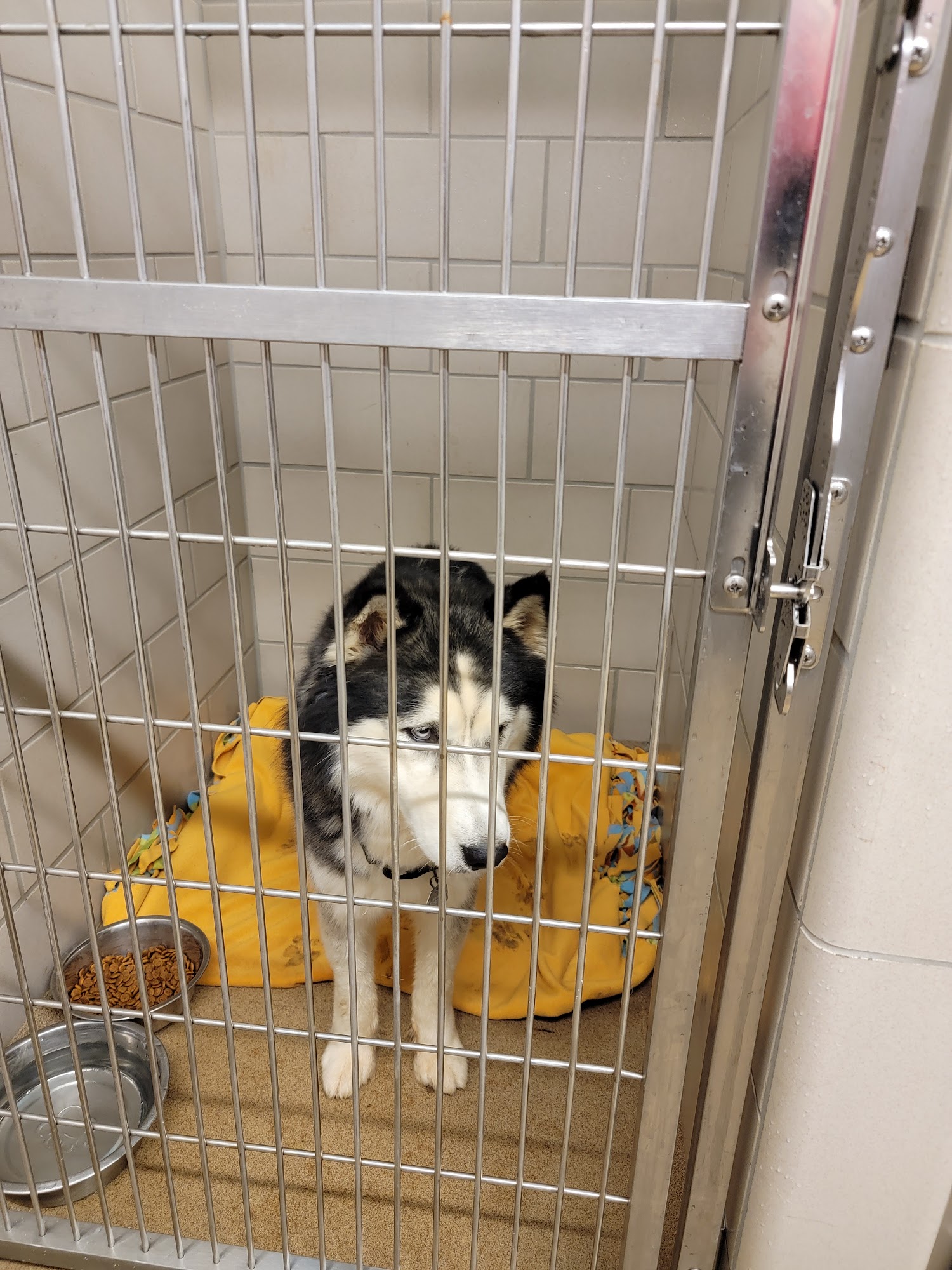 McKamey Animal Center Chattanooga