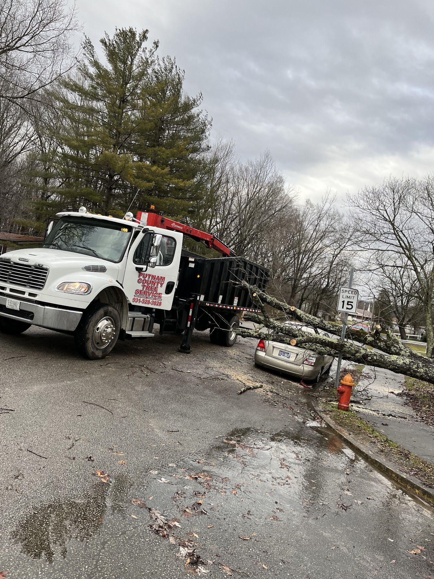 Putnam County Tree Service