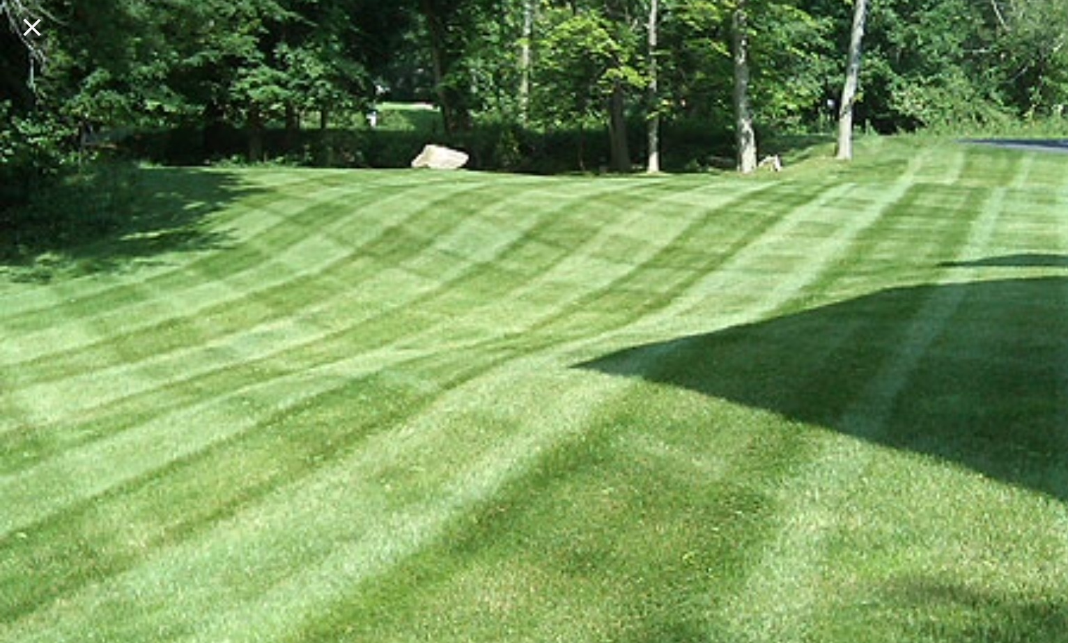 Greene Lawn Care & Landscaping