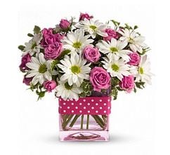 Rhea Floral & Gift Shoppe 249 Main St, Dayton Tennessee 37321