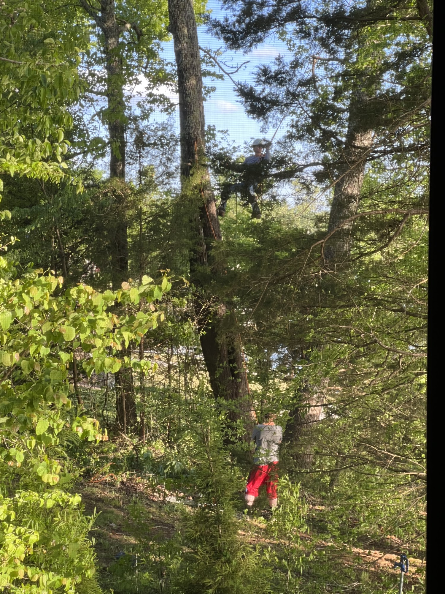 KuttingEdge tree's llc