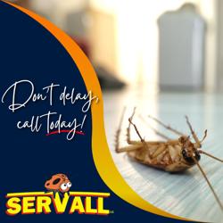 Servall Termite & Pest Control