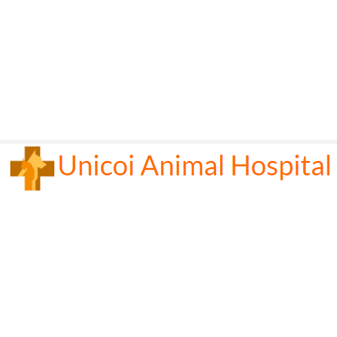 Unicoi Animal Hospital 2210 Main Ave, Erwin Tennessee 37650