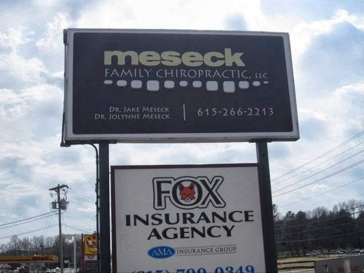 Meseck Family Chiropractic, LLC 2199 Fairview Blvd, Fairview Tennessee 37062