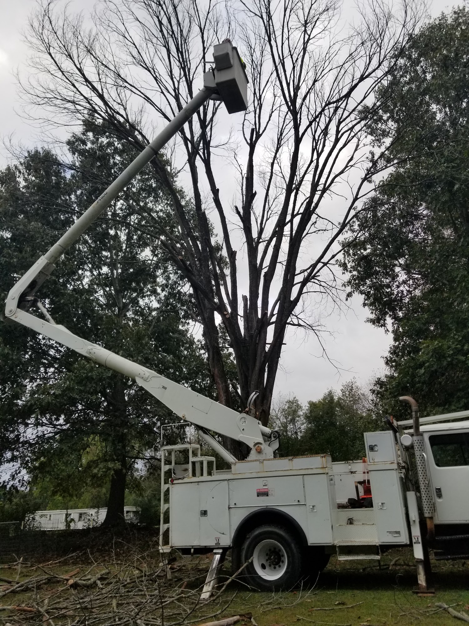 Kelly's tree service