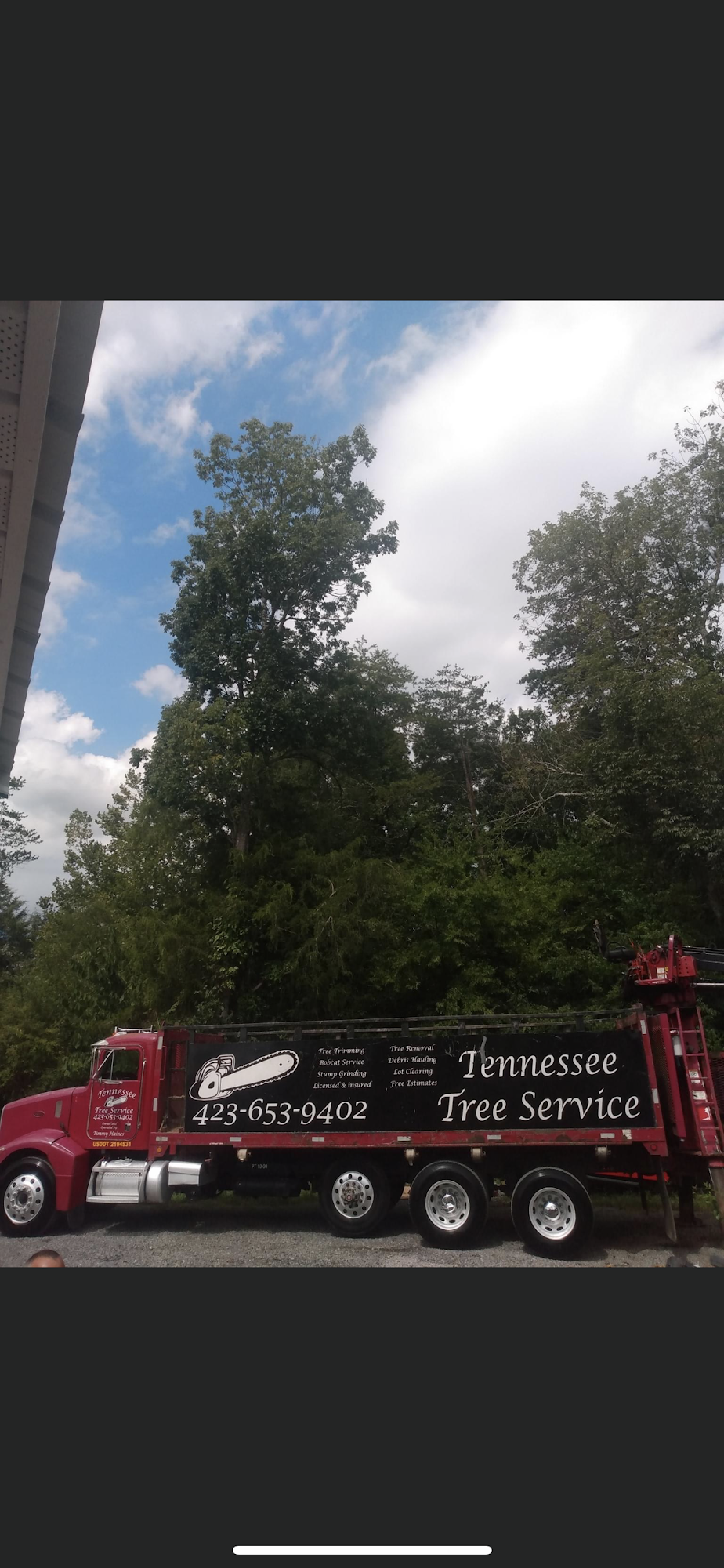 Tennessee Tree Service