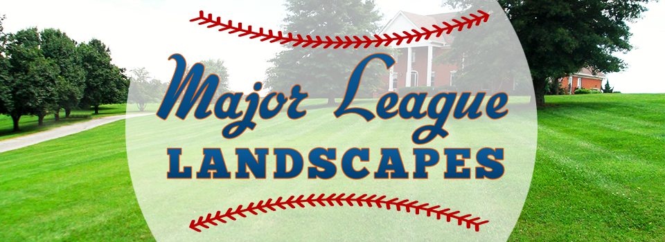 Major League Landscapes