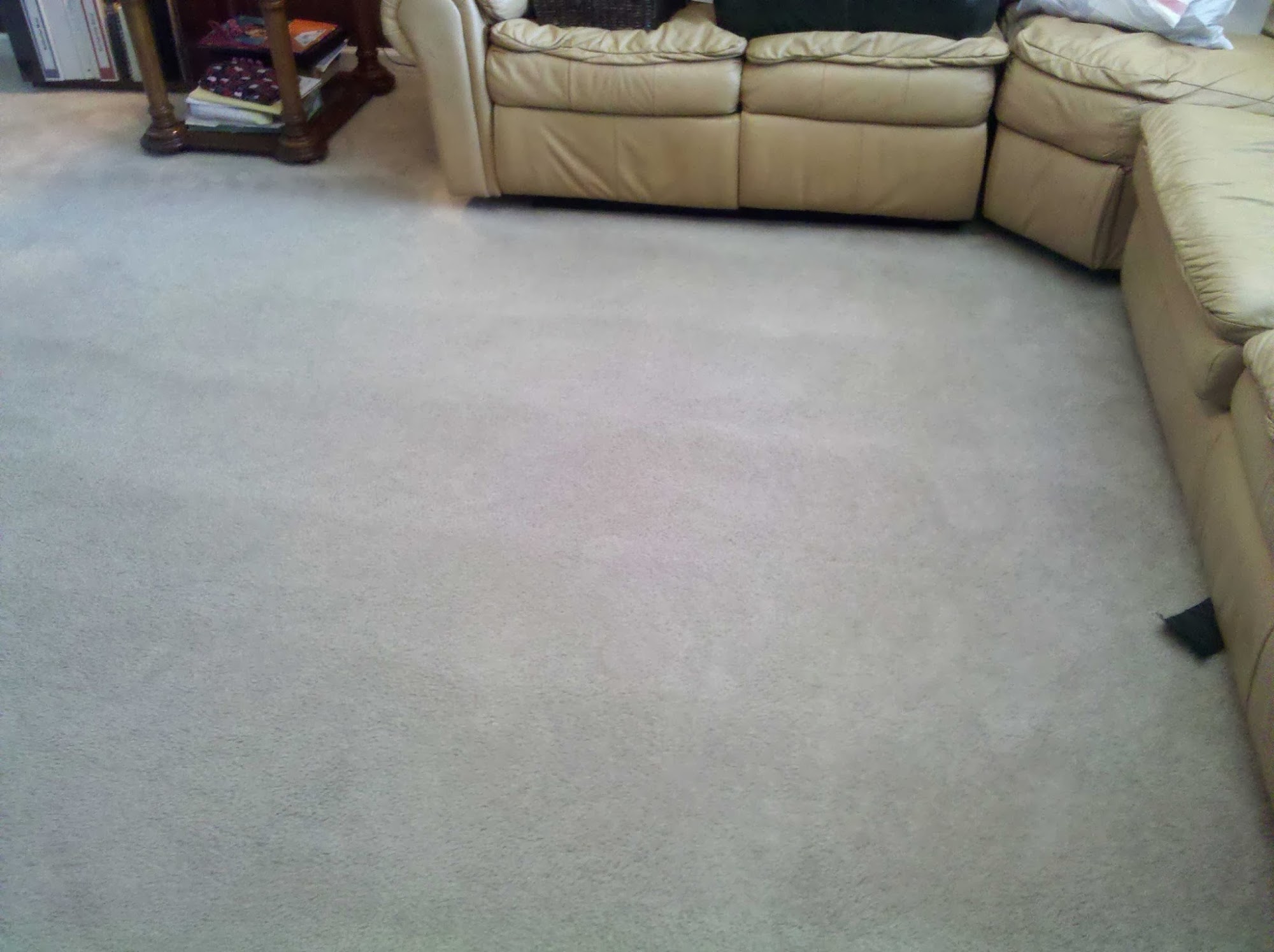 EcoBright Carpet and Floor Cleaning
