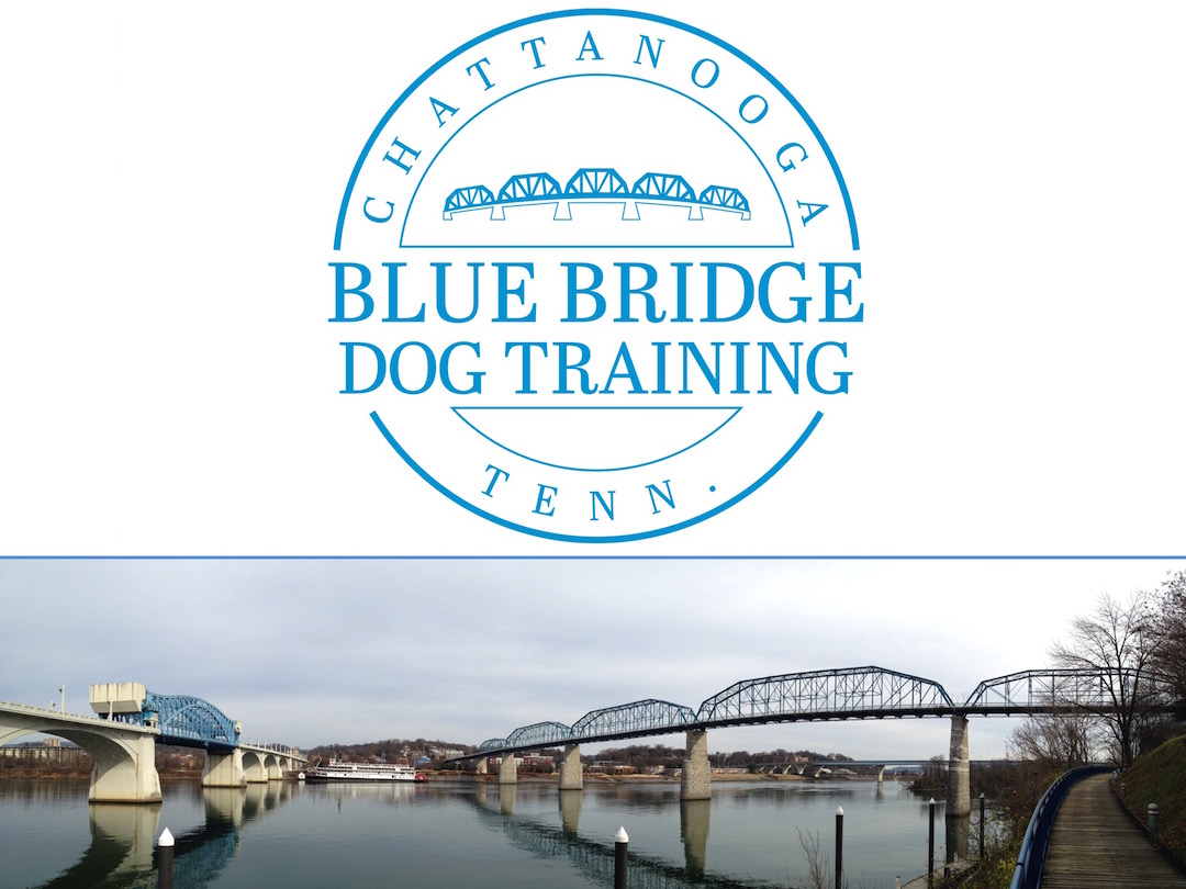 Blue Bridge Dog Training Hixson