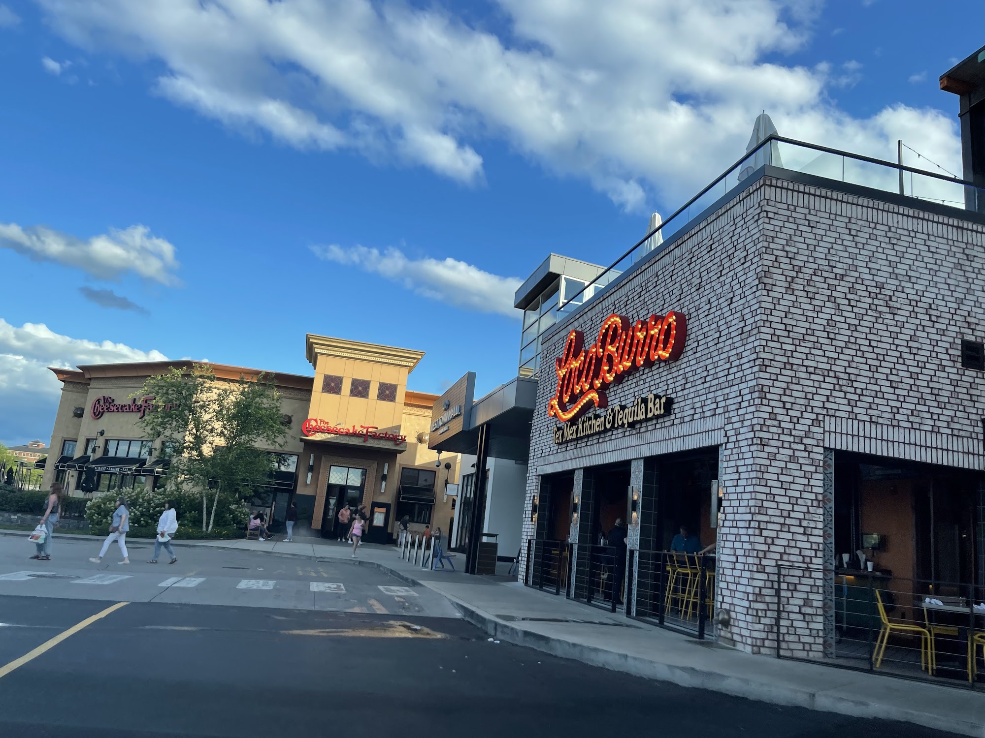 Loco Burro Fresh Mex Cantina and Tequila Bar, Knoxville Menu, Reviews