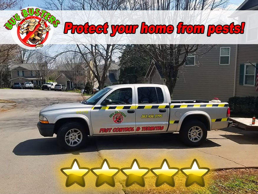 Bug Busters Pest Control(Knoxville office)