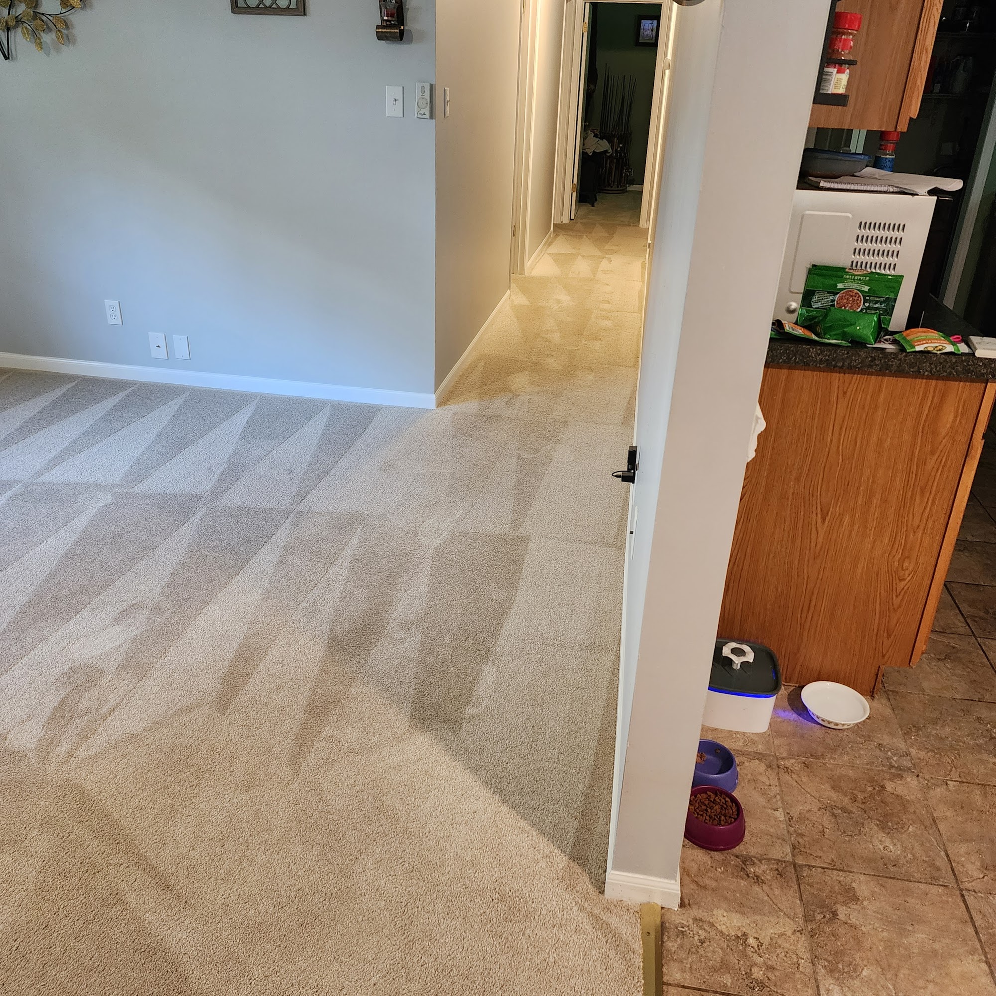 Zerorez Carpet Cleaning Knoxville