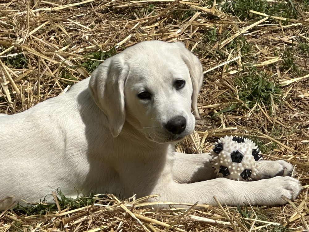 For Social Graces Mount Juliet