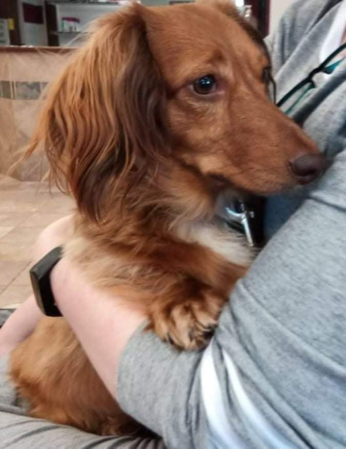 Animal Medical Center: Alexander Kathy DVM Murfreesboro