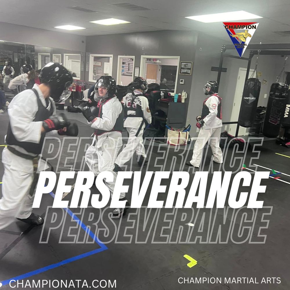 Champion Martial Arts 7710 US-64, Oakland Tennessee 38060