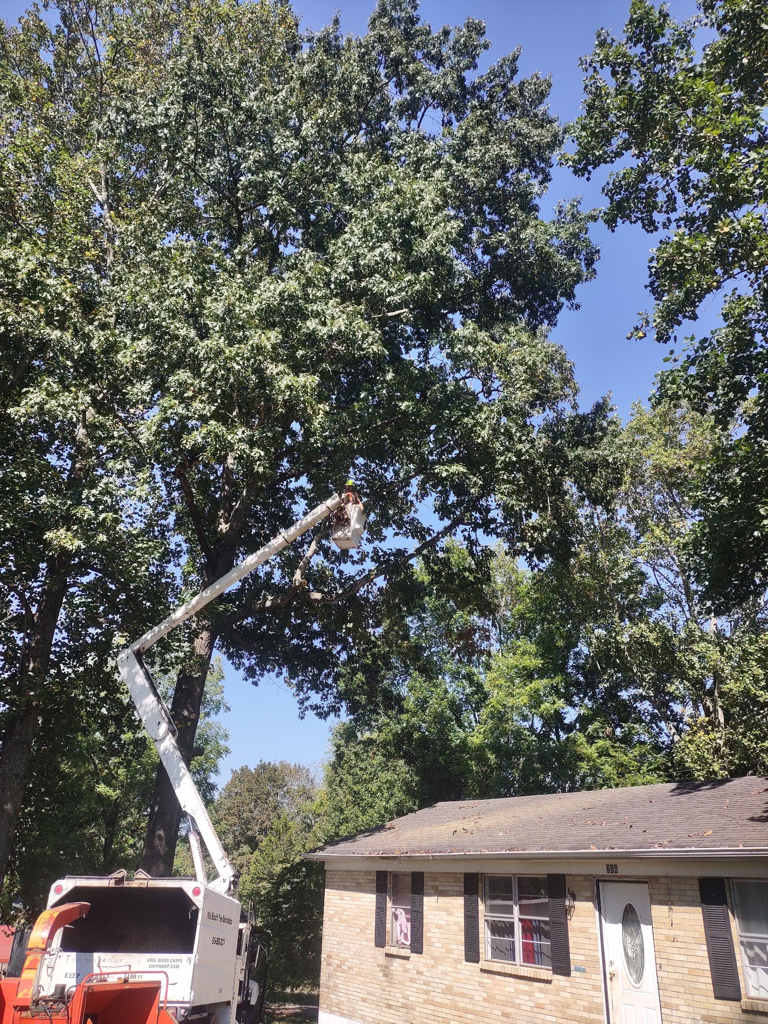 Mid-south tree specialists 495 Bakerton Church Rd, Red Boiling Springs Tennessee 37150