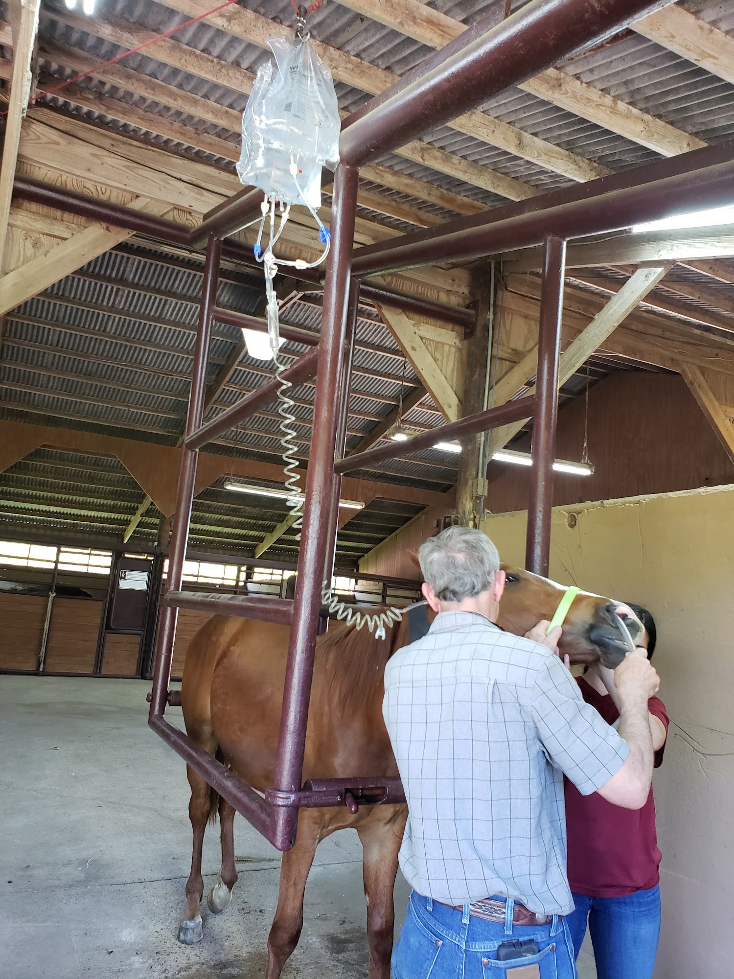 Gulf Coast Large Animal Clinic