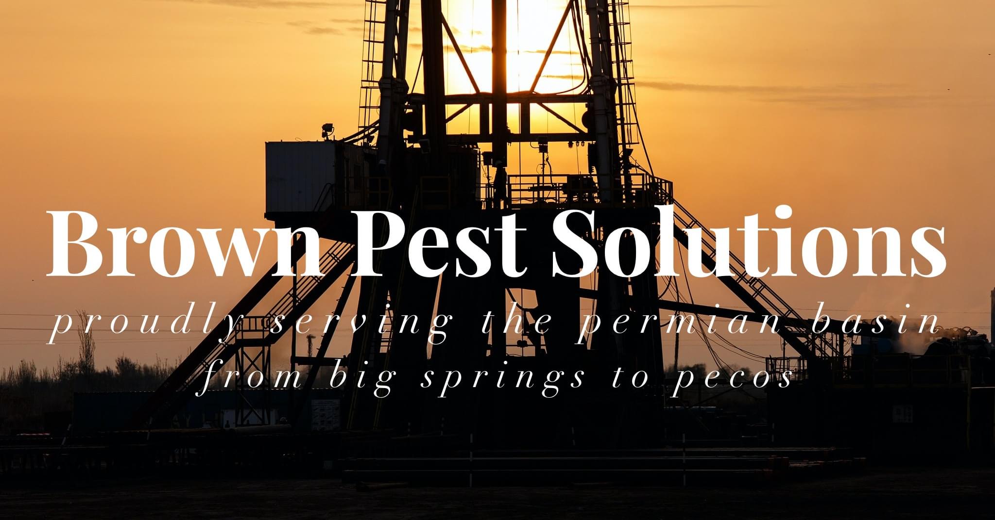 Brown Pest Solutions 305 NE 1st St, Andrews Texas 79714