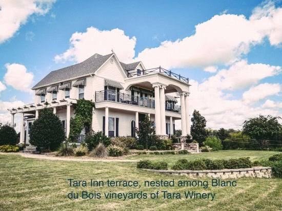 Tara Vineyard & Winery