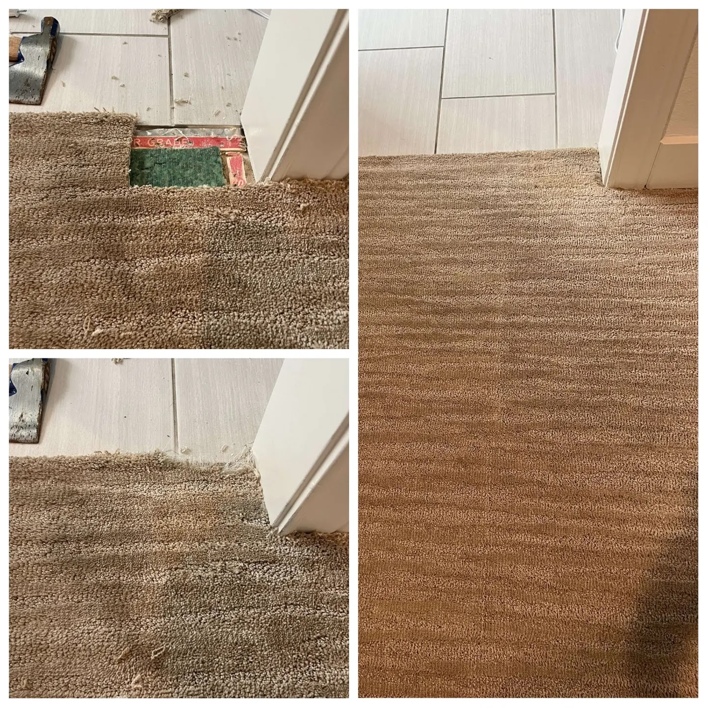 Absolute Carpet & Tile - Carpet Cleaning Austin