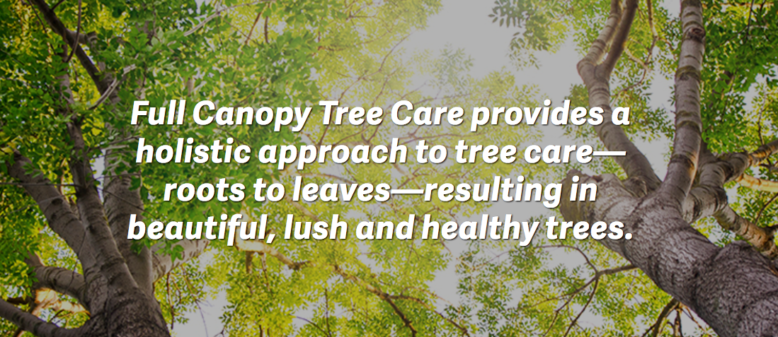 Full Canopy Tree Care